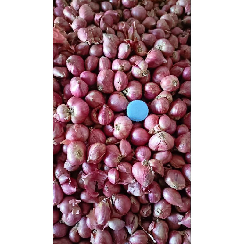 

bawang merah 1kg ukuran besar super kering