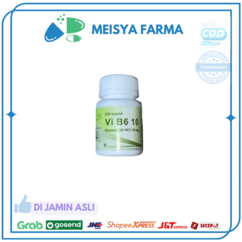 Vitamin B6 Pot 250 Tab Vi B6 Yekatria