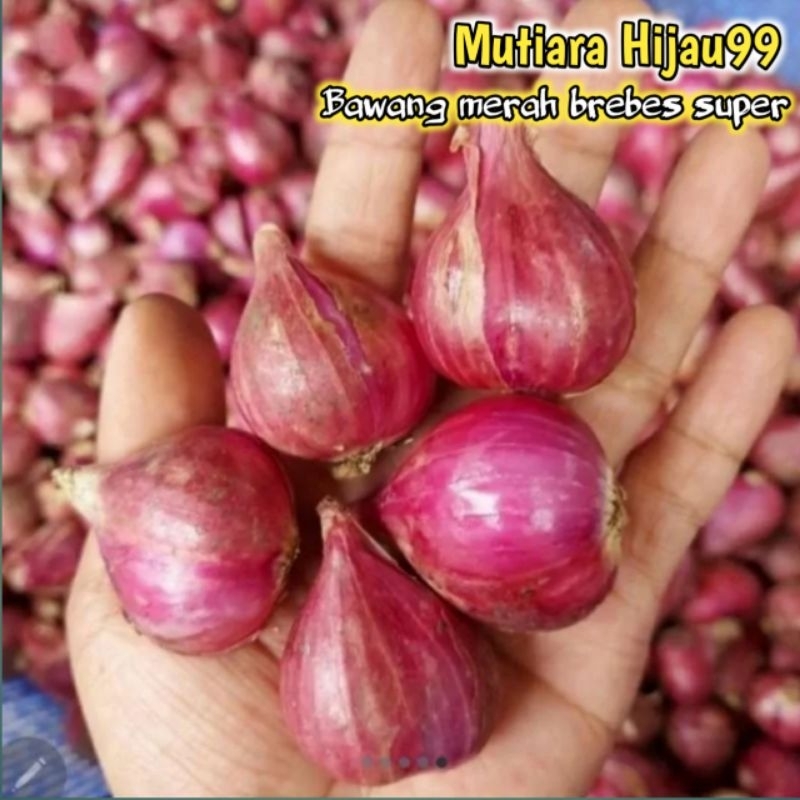 

BAWANG MERAH SUPER 1KG/BAWANG MERAH BREBES/BAWANG MERAH SEGAR/BUMBU MASAK/BAWANG MURAH/BUMBU DAPUR