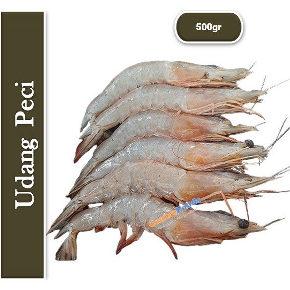 

Udang Peci Besar Fresh - Udang Jarbung | 500gr [ Harga Per 0,5 Kg ]