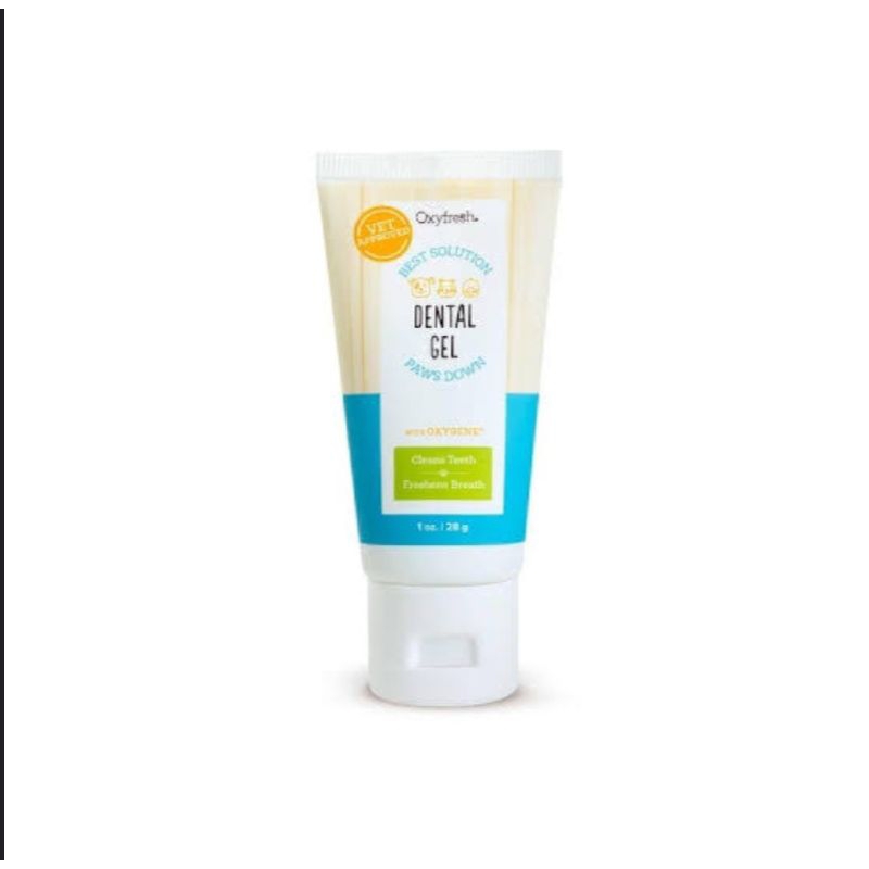 OXYFRESH TOOTHPASTE / DENTAL GEL