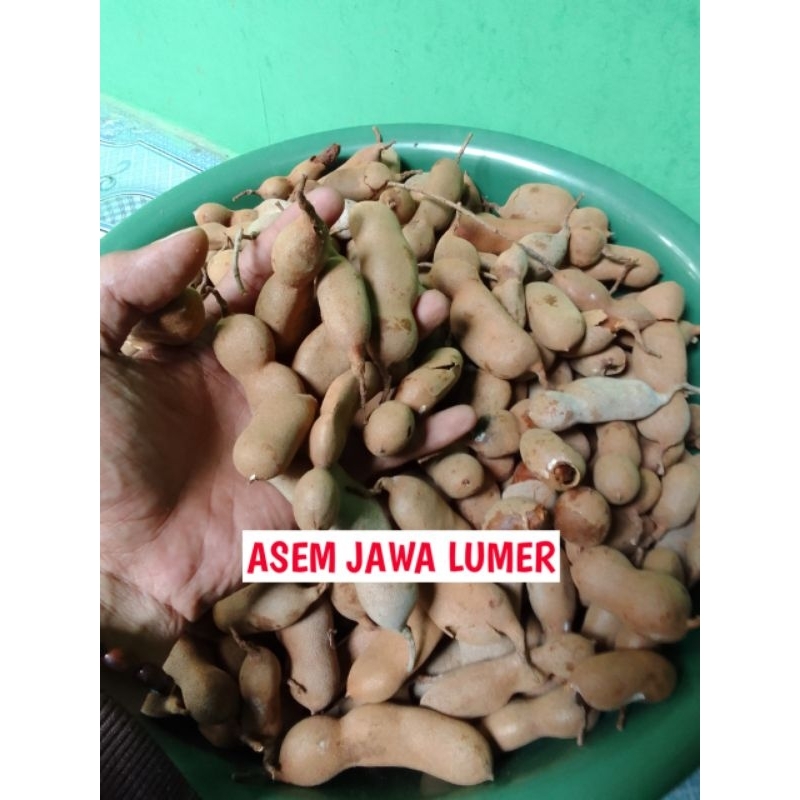 

Asem Jawa Lummerr Asli Matang Dari Pohonnya Original 250g