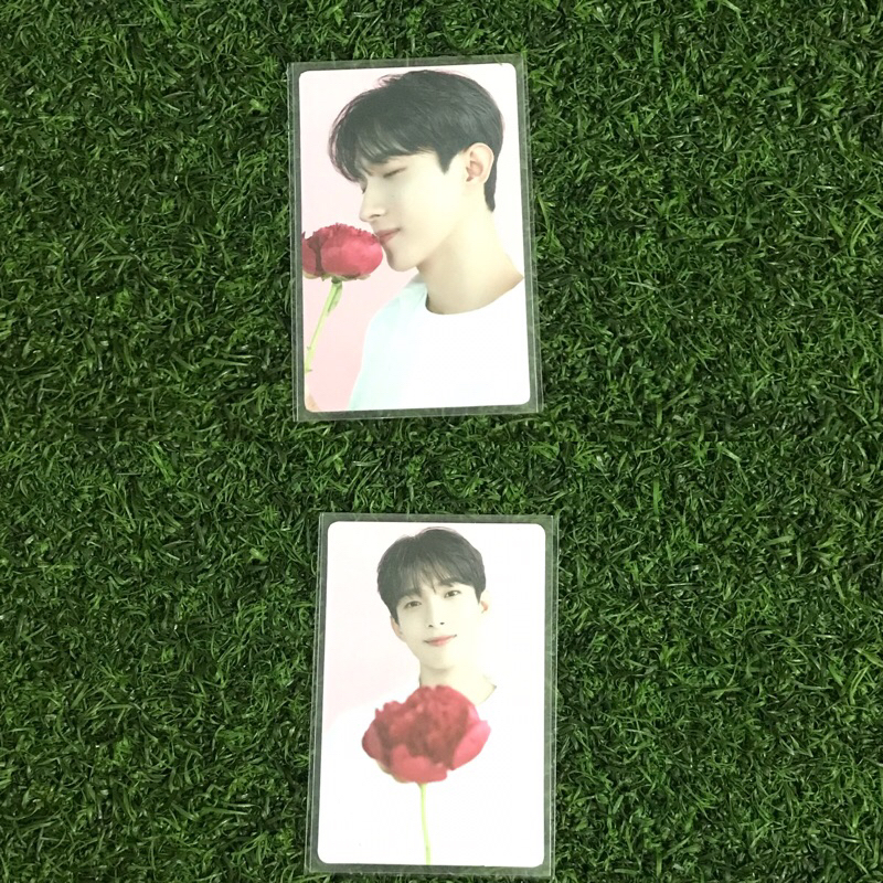 SEVENTEEN CAFE KOREA PHOTOCARD DK DOKYEOM