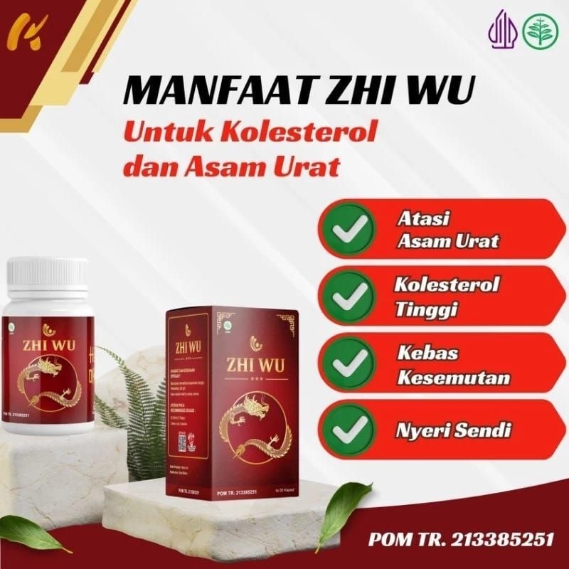 ZHI WU ORIGINAL ISI 30 KAPSUL OBAT HERBAL CINA ATASI ASAM URAT KOLESTROL DAN REMATIK NYERI SENDI 100
