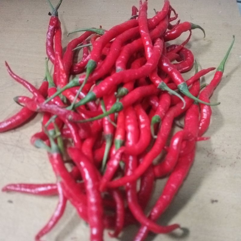 

CABE MERAH KERITING 100GR