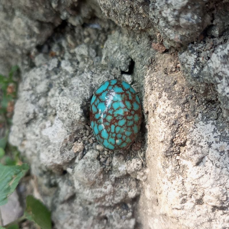 Batu Permata Asli Pirus Mesir Urat Merah Garansi Original