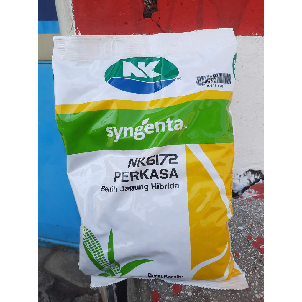 NK6172 Perkasa Benih Jagung Hibrida