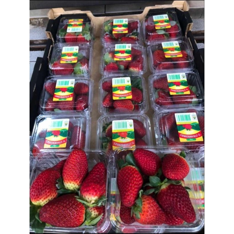 

strawberry Australia per pack ,250,gr jumbo buah