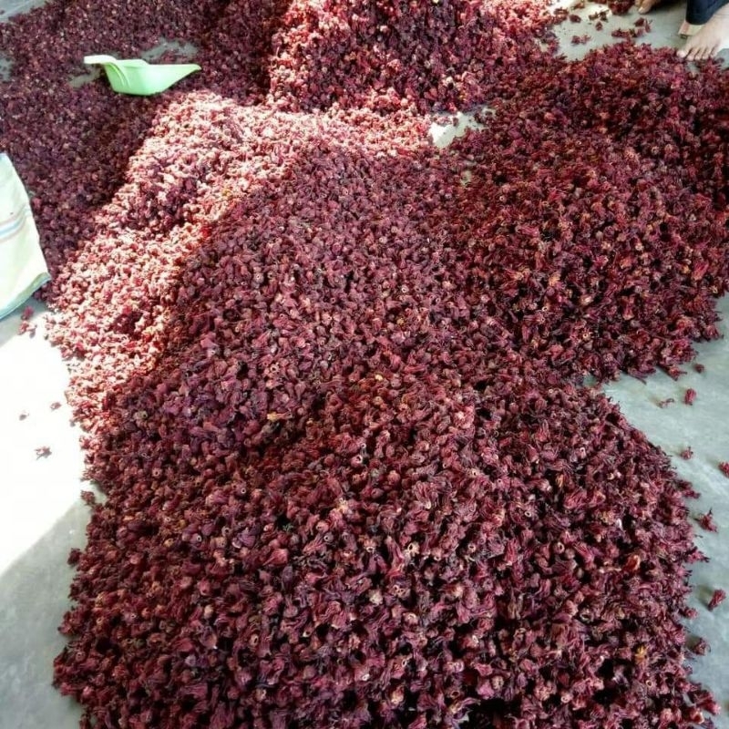 

Rosella merah kering 1/2kg