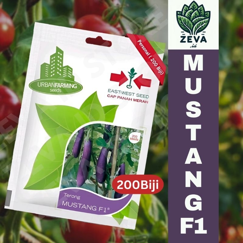 Benih Panah Merah - Terong Mustang F1
