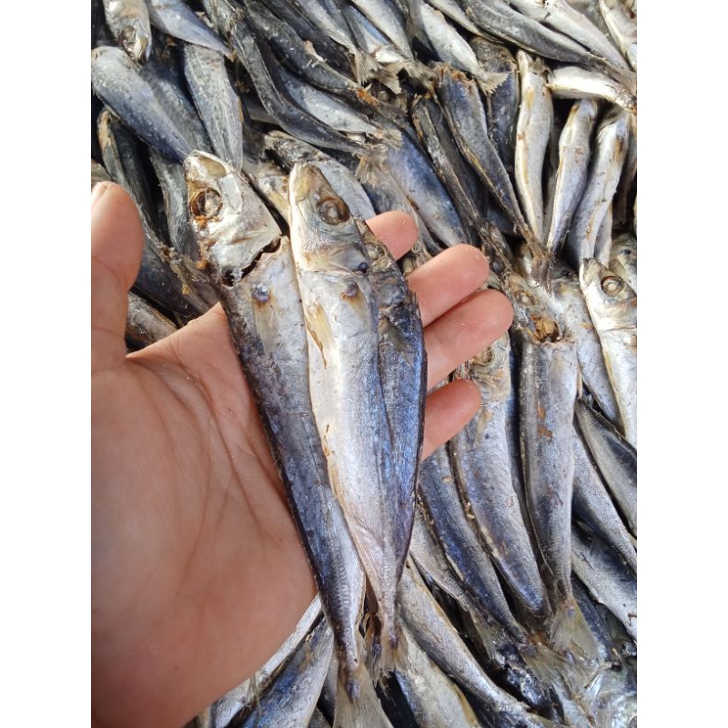 

ikan asin