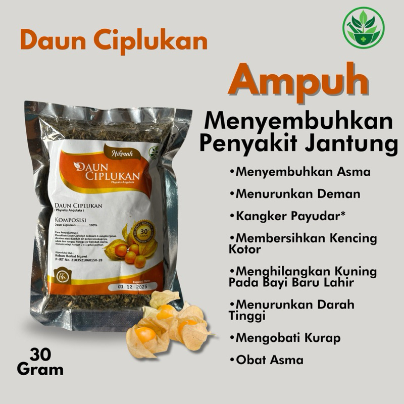 

Daun Ciplukan Kering Kualitas Terbaik 30 Gram
