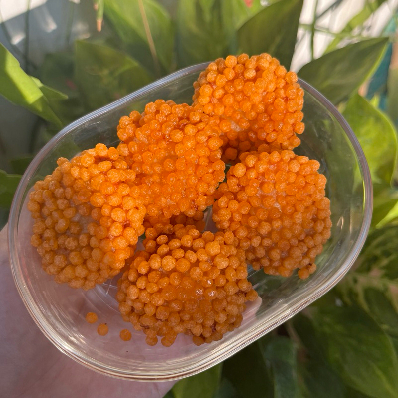 

Nugget Crispy Homemade | Nuget buble crumb tanpa MSG