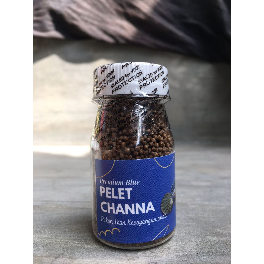 pelet chana blue pulchra boster warna pelet pulcra blue