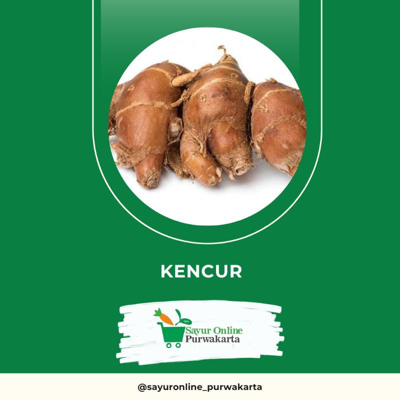 

Kencur - Sayur Online Purwakarta