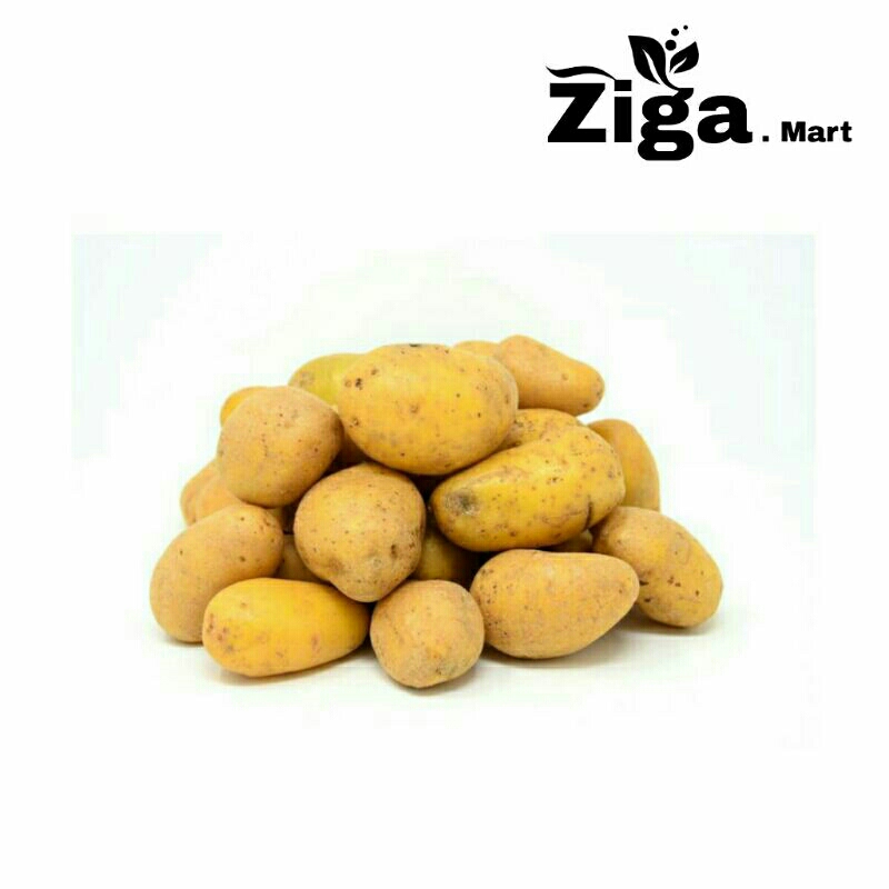 

Kentang Dieng Segar Berkualitas 500 gr / 1 kg