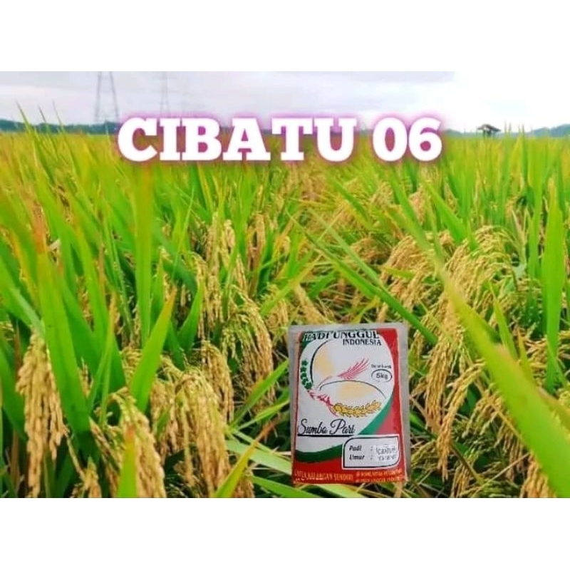 Pupuk Cibatu-06 / Benih Padi