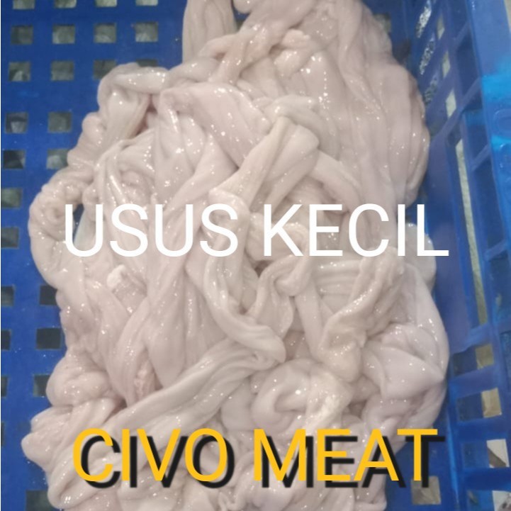 

Usus Kecil Babi / Pork Small Intestine - 1 kg