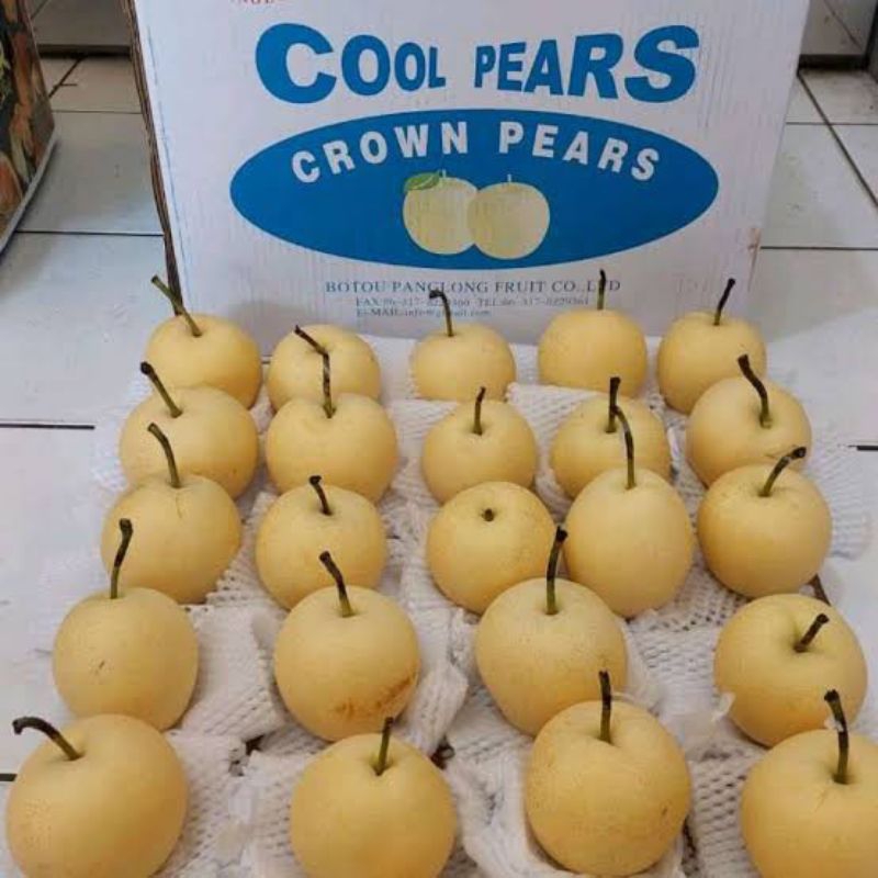 

buah pear centuri 1 dus 16kg