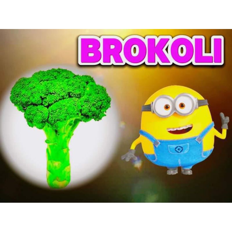 

brokoli segar 500 gram