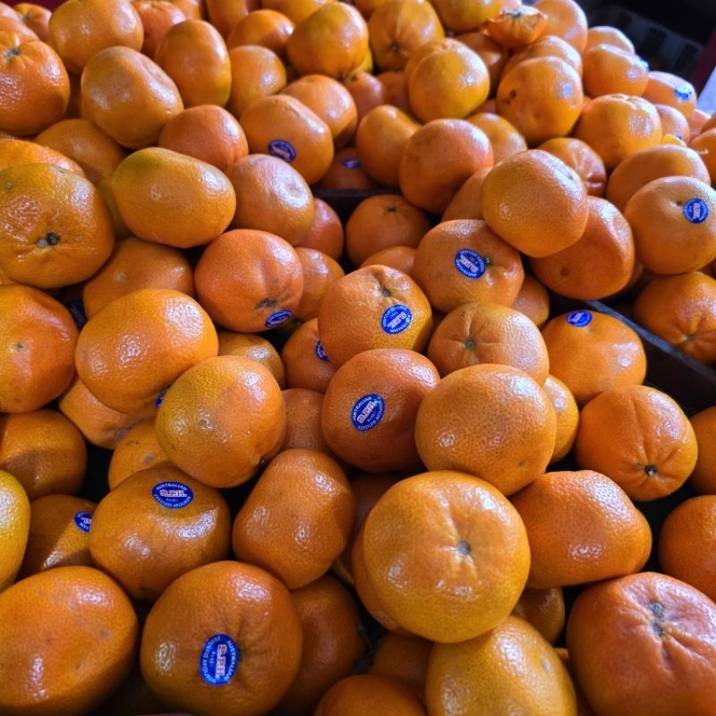 

Jeruk Aforer 1kg (Tanpa Biji)