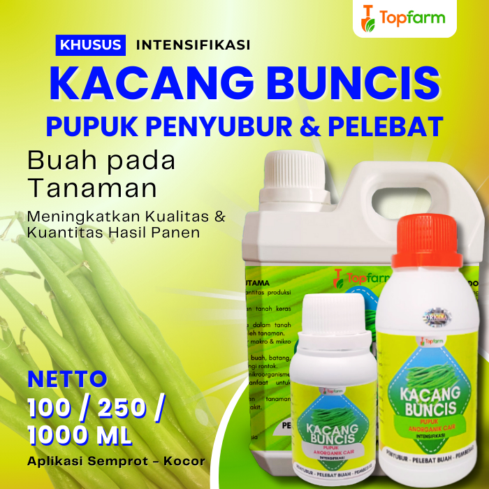 Pupuk Pelebat Buah Buncis / Pupuk Pelebat Buncis / Pupuk Buncis /Pupuk Kocor Buncis / Pupuk Pelebat 