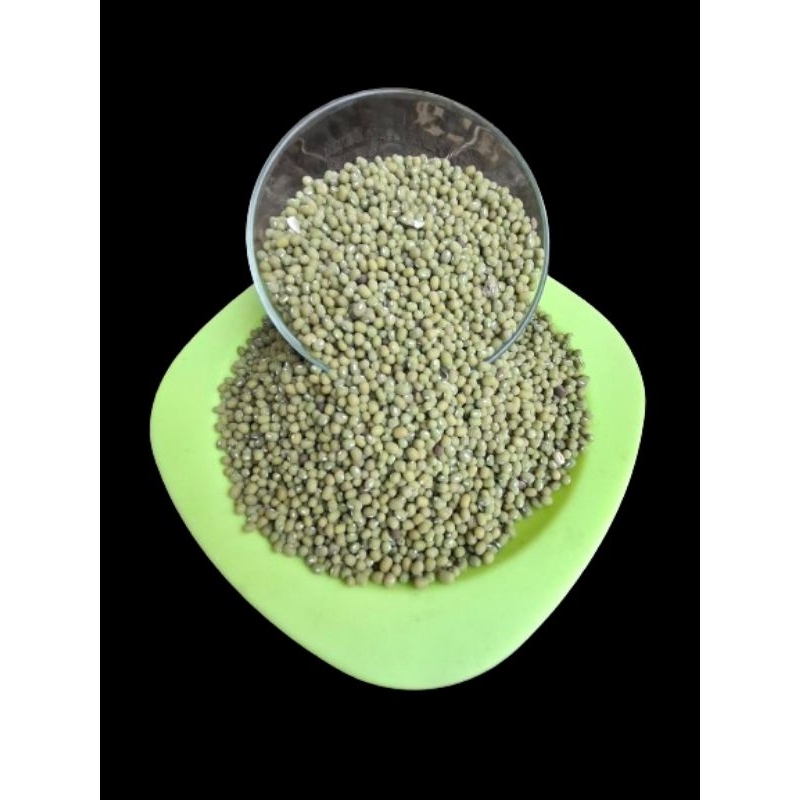 

kacang ijo / KACANG IJO