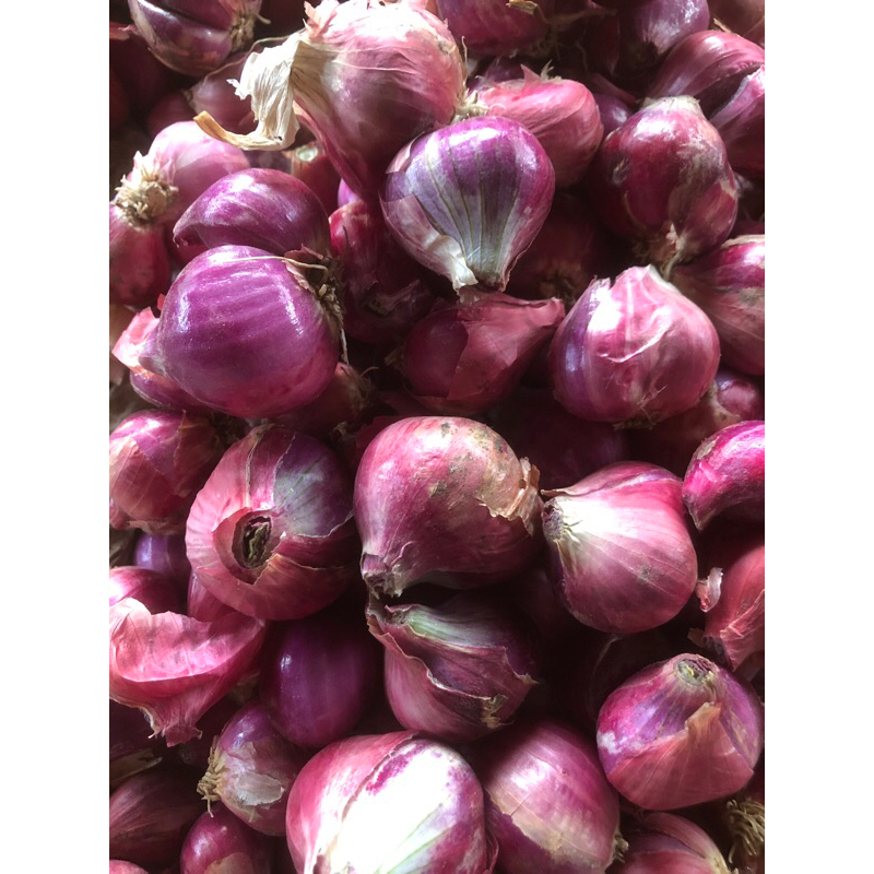 

BAWANG MERAH kecil (500gr)