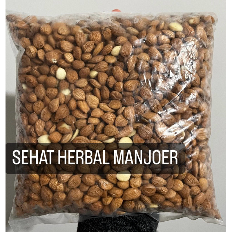 

Nan Xing Ren / Sweet Almond / Seed Apricot Seed Manis Fresh Original masih ada kulit 250gr