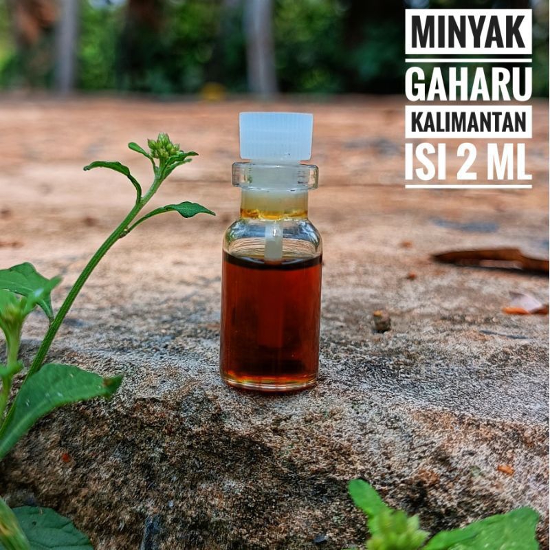 Minyak Gaharu Minyak Kayu Gaharu Asli Kalimantan 2ml