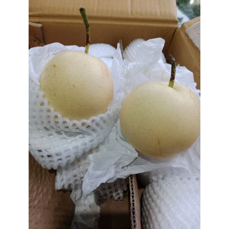 

pear century pear yalie pear xiangli
