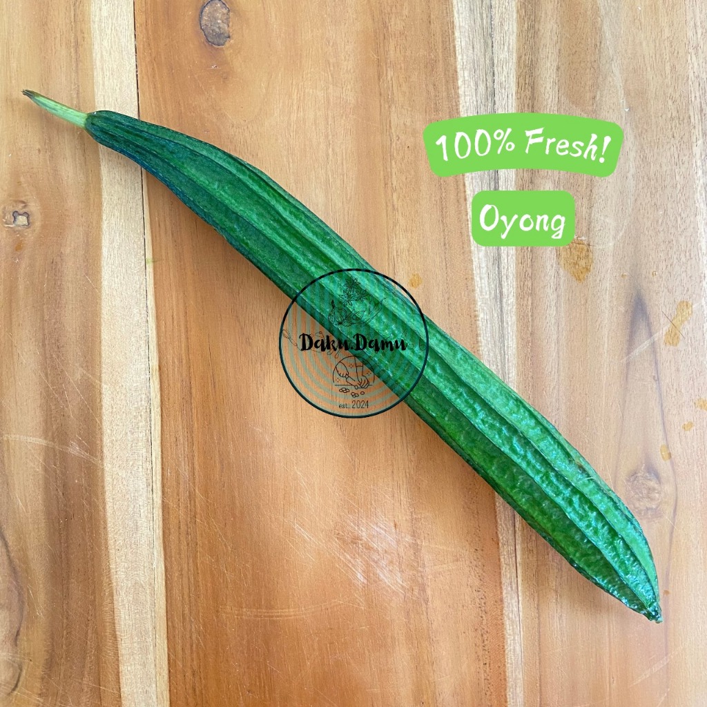 

KIRIM INSTANT/SAMEDAY Oyong Segar - Utuh Panjang