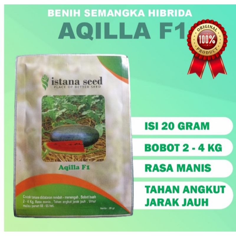 

Benih semangka hibrida Aqilla F1 semangka inul merah semangka berbiji ISTANA SEED kemasan isi 20 gram tahan rasa manis tahan angkut jarak jauh