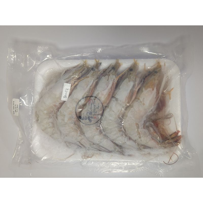 

Udang Jerbung Laut Segar Size 10/12 - Isi 9 Ekor