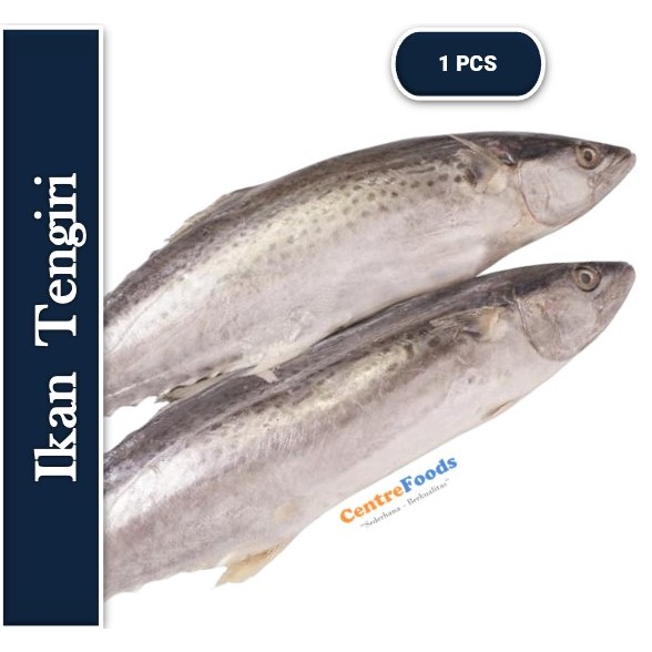 

Ikan Tengiri - Tengiri Utuh Fresh | Size 750-1.000gr [ Harga Per PCS ]