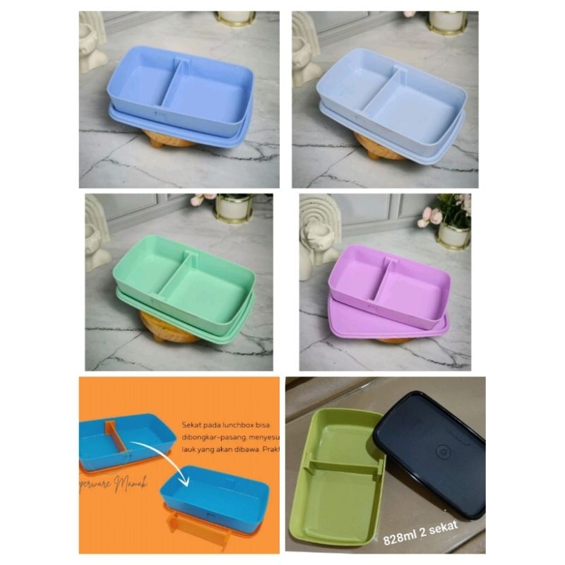 Lunch Lite/Bekal Tupperware/lollytup/bekal anak/bekal sekolah