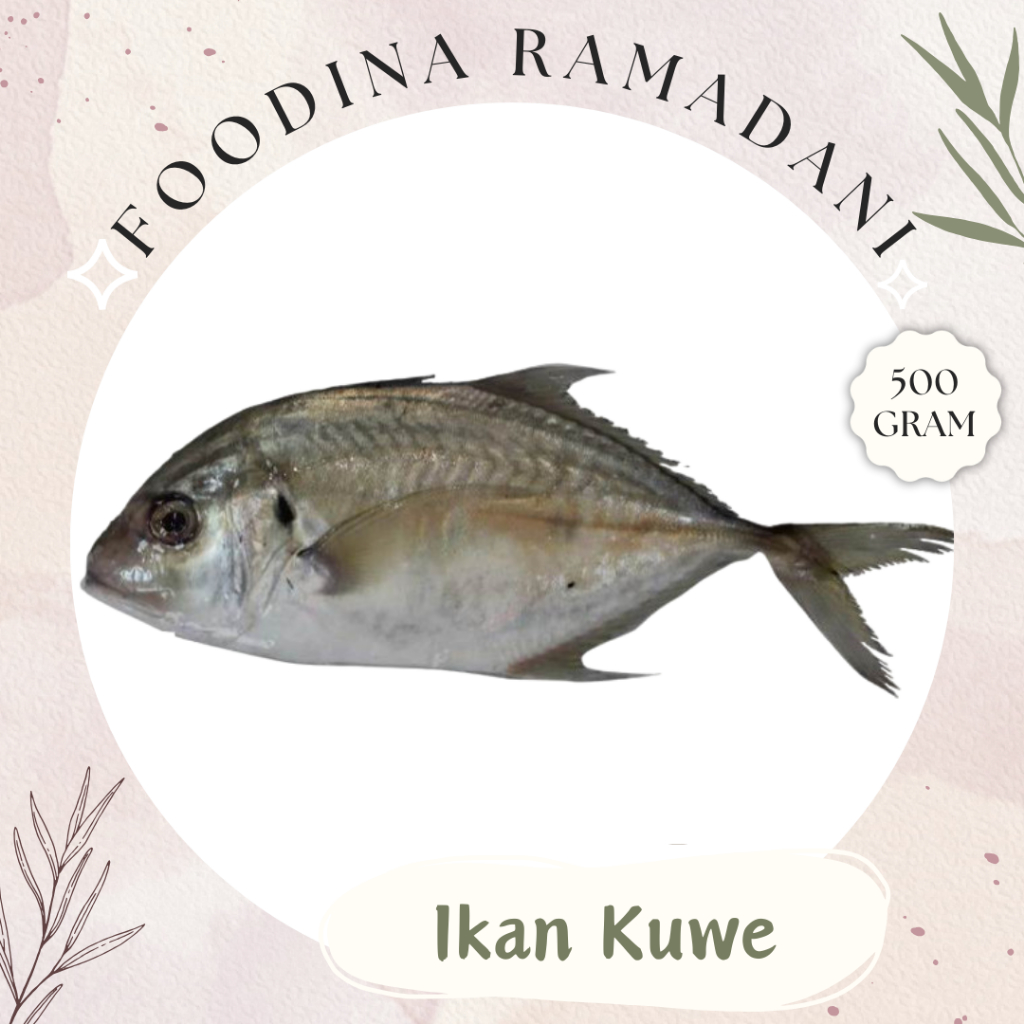 

IKAN KUWE Kwe - Giant Trevally Fish Fresh [ Berat 500gr ] Harga Per 0,5 Kg