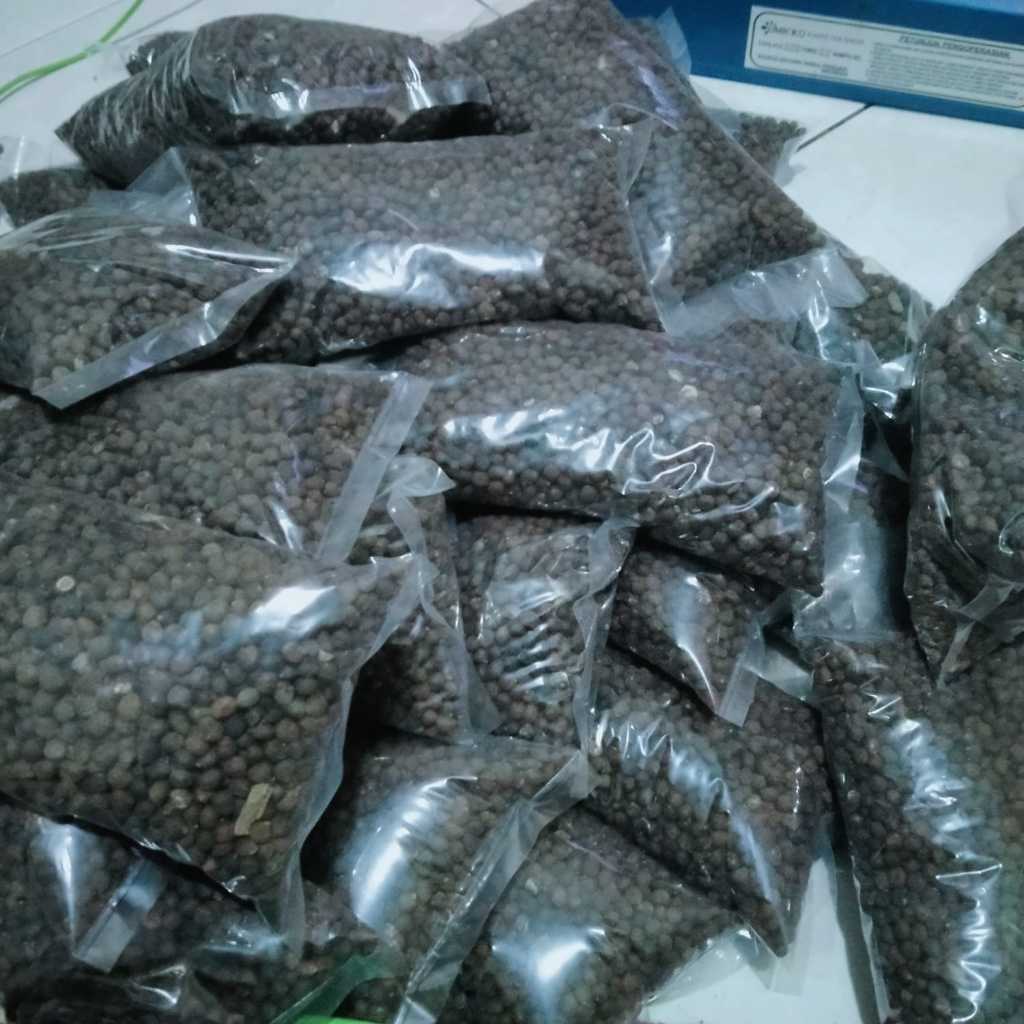 KLENTENG ISI KAPUK UMPAN BAWAL UMPAN IKAN UMPAN JITU BAWAL