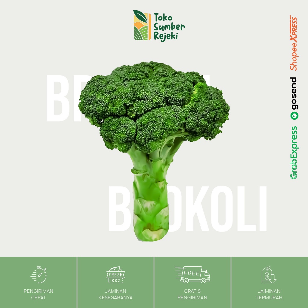 

Brokoli Segar - Toko Sumber Rejeki Yogyakarta