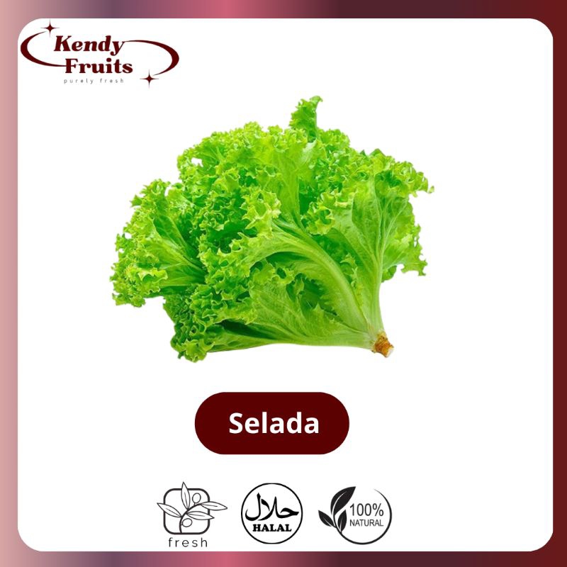 

SELADA 250gr | Segar Sehat Fresh