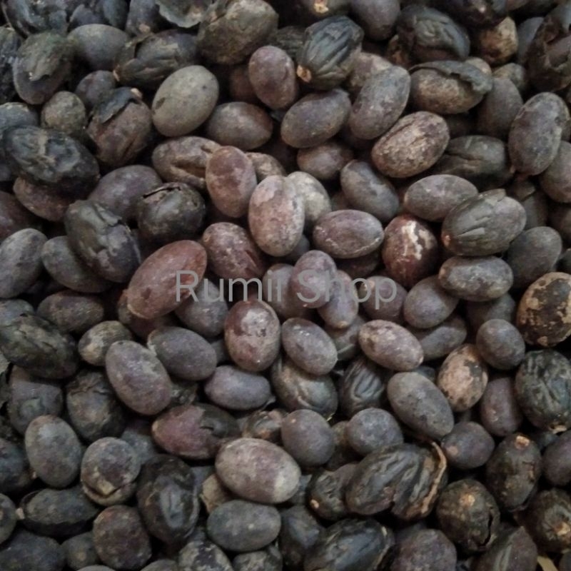 

Biji Pronojiwo kering 100gram