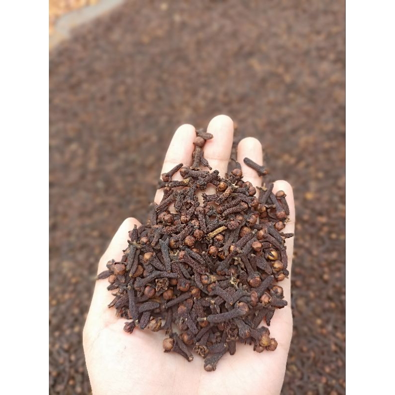 

Cengkeh Kering Asli 100%