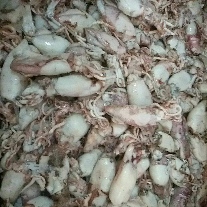 

Cumi Asin Bersih ukuran mix gede