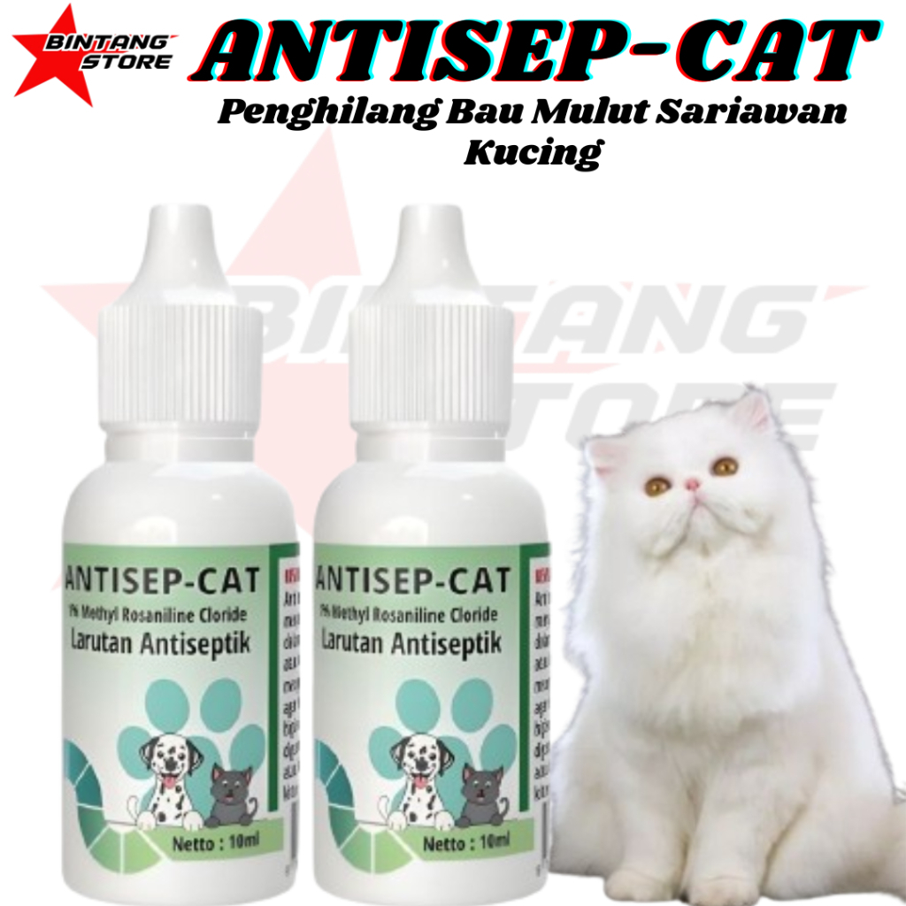 Obat Kucing Anjing Sariawan Bau Luka Mulut Terbukti Ampuh