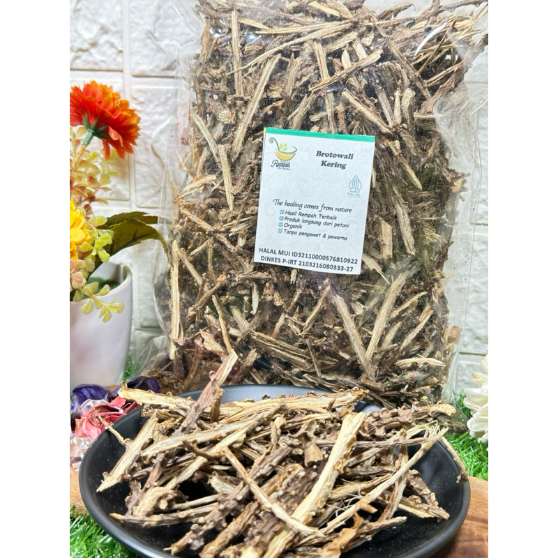 

RK01 Brotowali Kering 500 Gram - Rempah Bu Risma