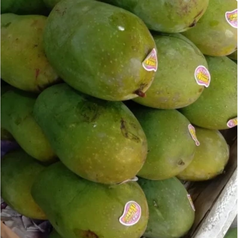 

Mangga harum manis ( Manis )