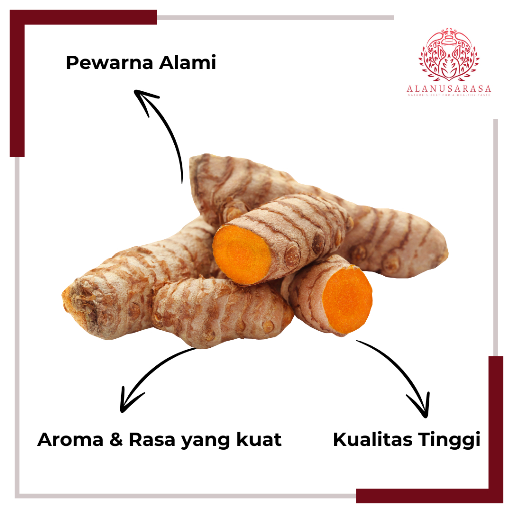 

Kunyit Segar Asli – 100% Organik, Antioksidan Alami, Berat 250g | Rempah Dapur Berkualitas