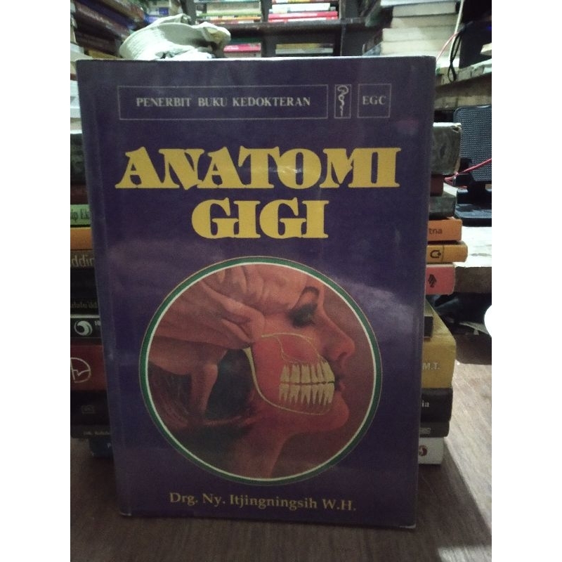 anatomi gigi itjingningsih