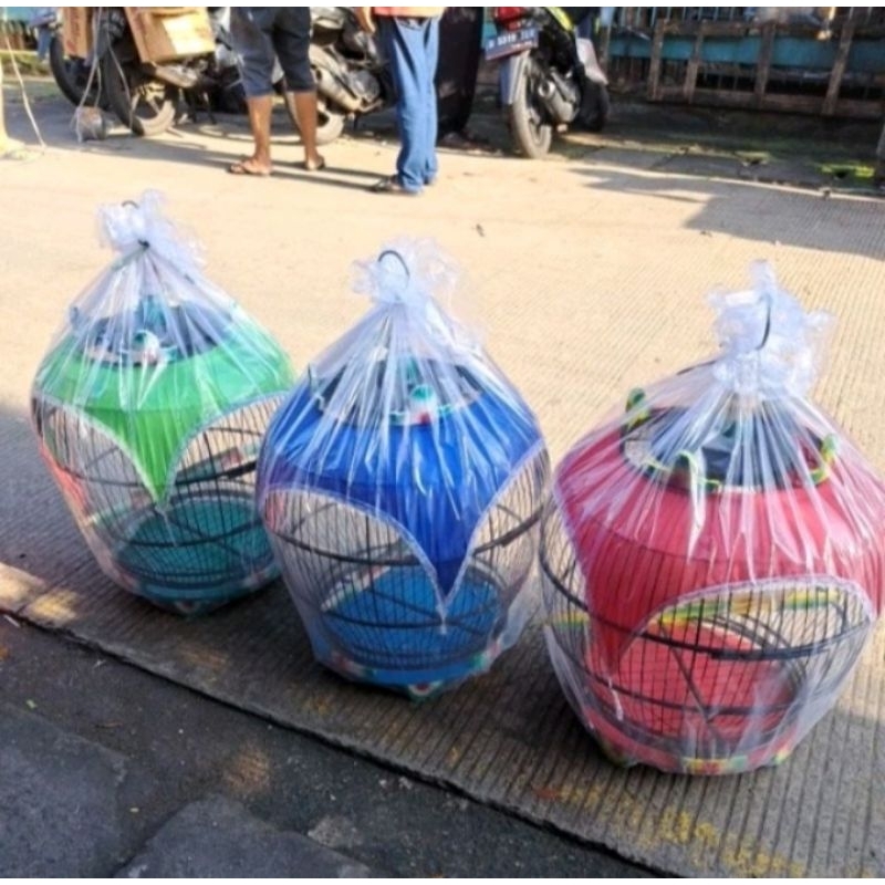 SANGKAR BURUNG DERKUKU TEKUKUR PERKUTUT KAIN