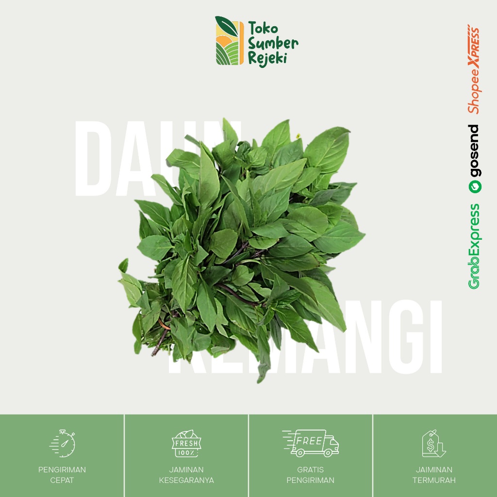 

Daun Kemangi Segar - Toko Sumber Rejeki Yogyakarta